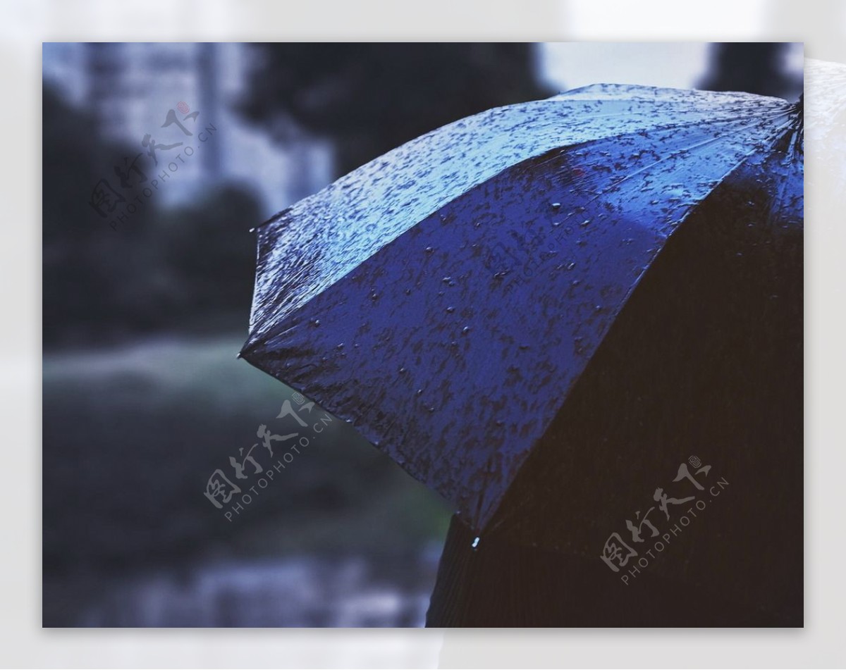 秋雨撑伞