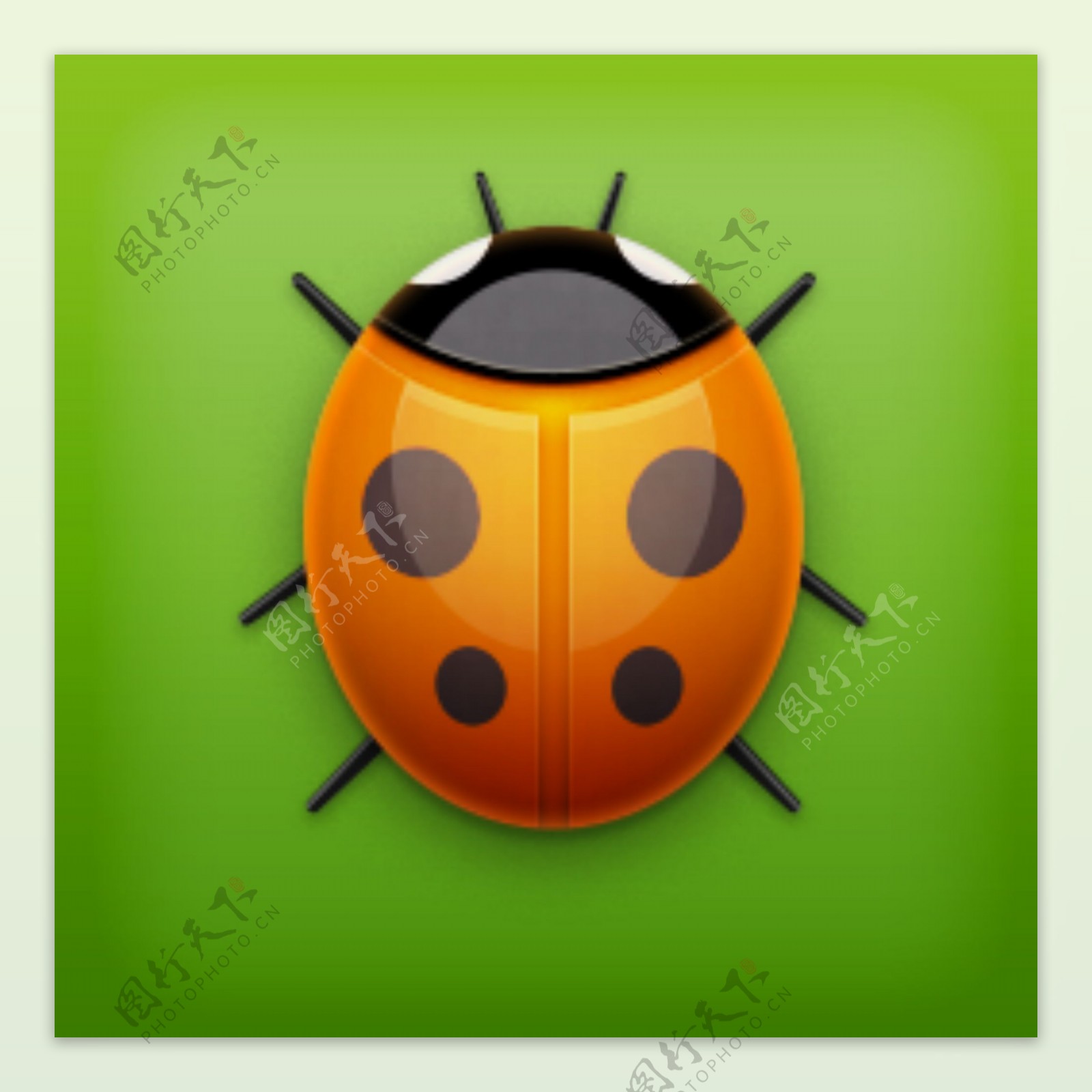 七星瓢虫icon图标设计