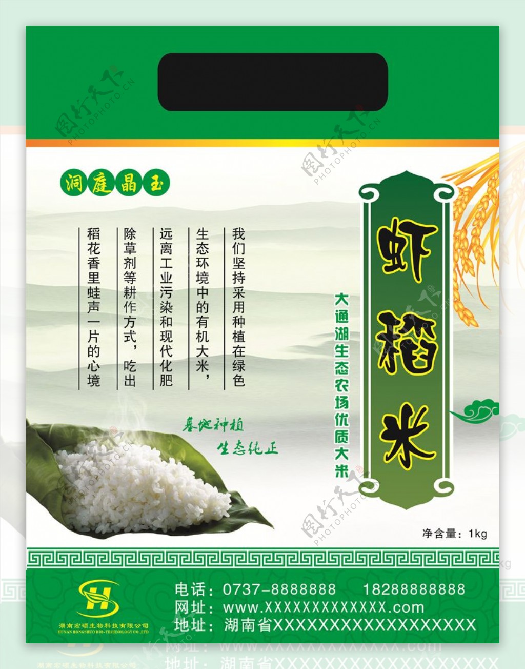虾稻米