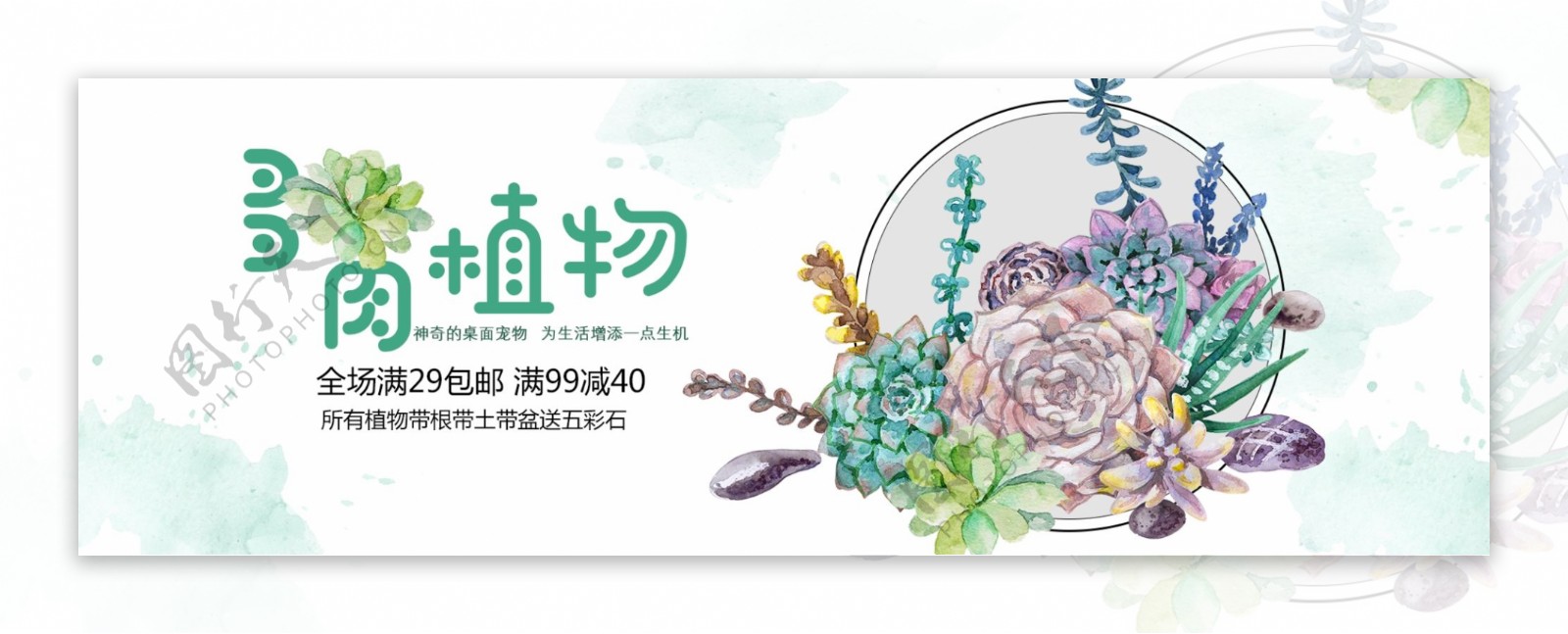 绿色手绘水彩多肉植物淘宝天猫包邮促销海报banner