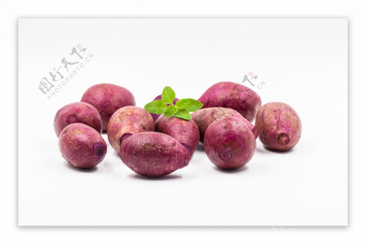 紫薯图片素材-编号30096396-图行天下