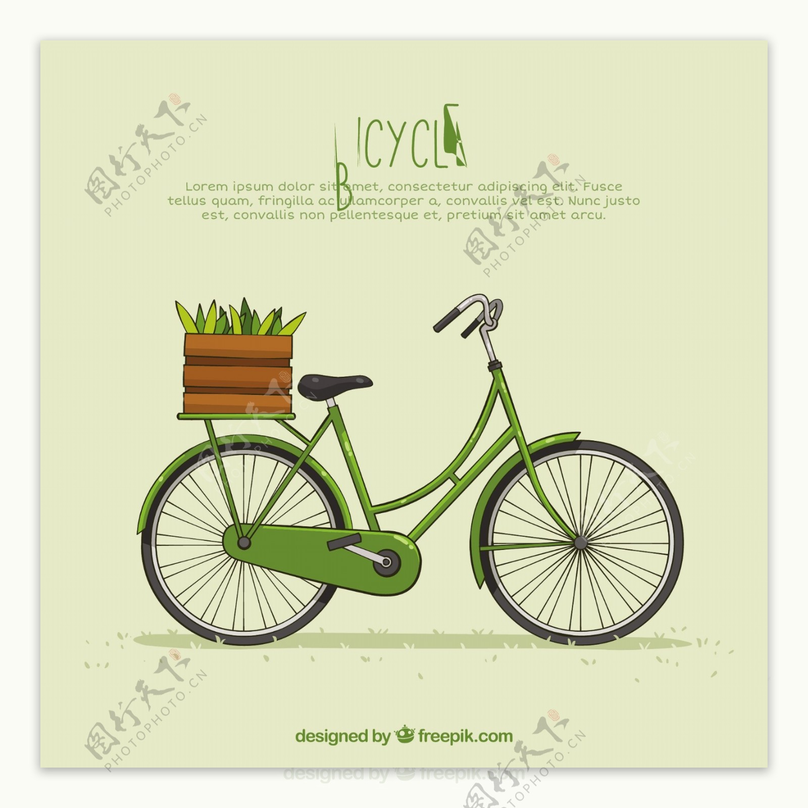 老式自行车篮和蔬菜