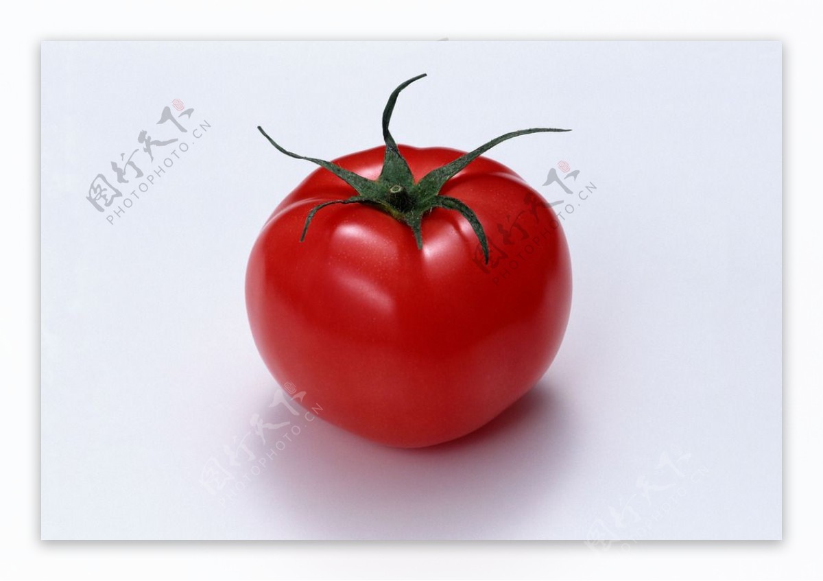 食品素材番茄