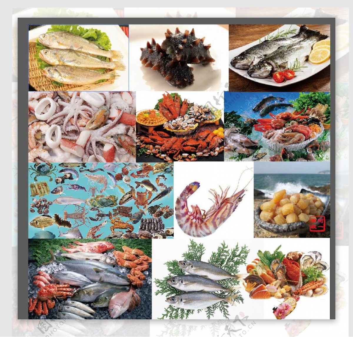 海鲜鱼虾蟹海报
