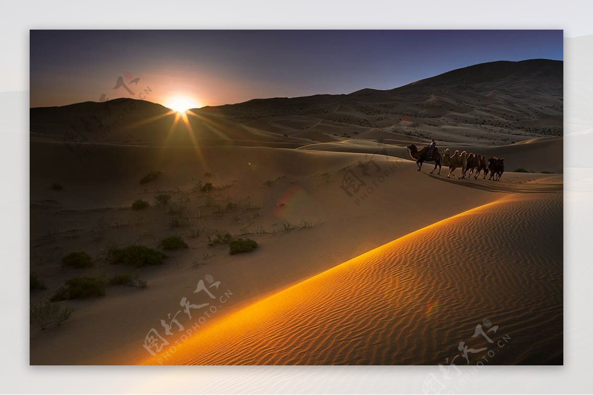沙漠摄影图