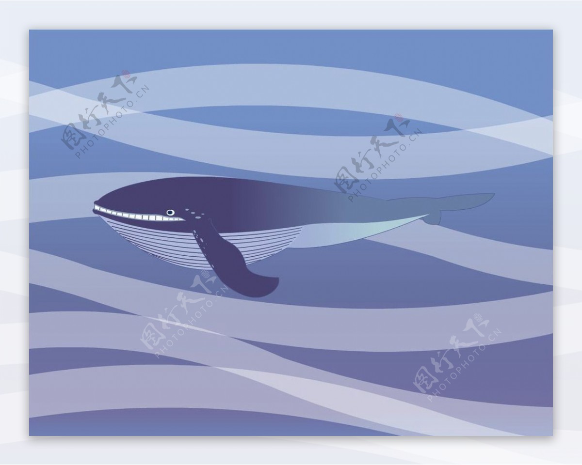 手绘海底鲸鱼
