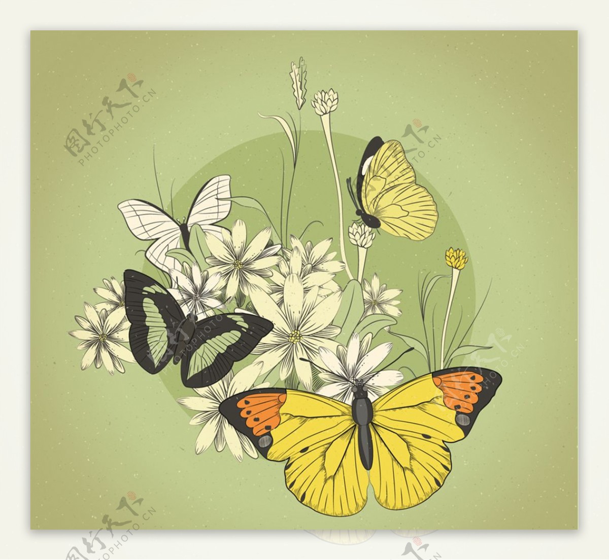 复古蝴蝶和花卉