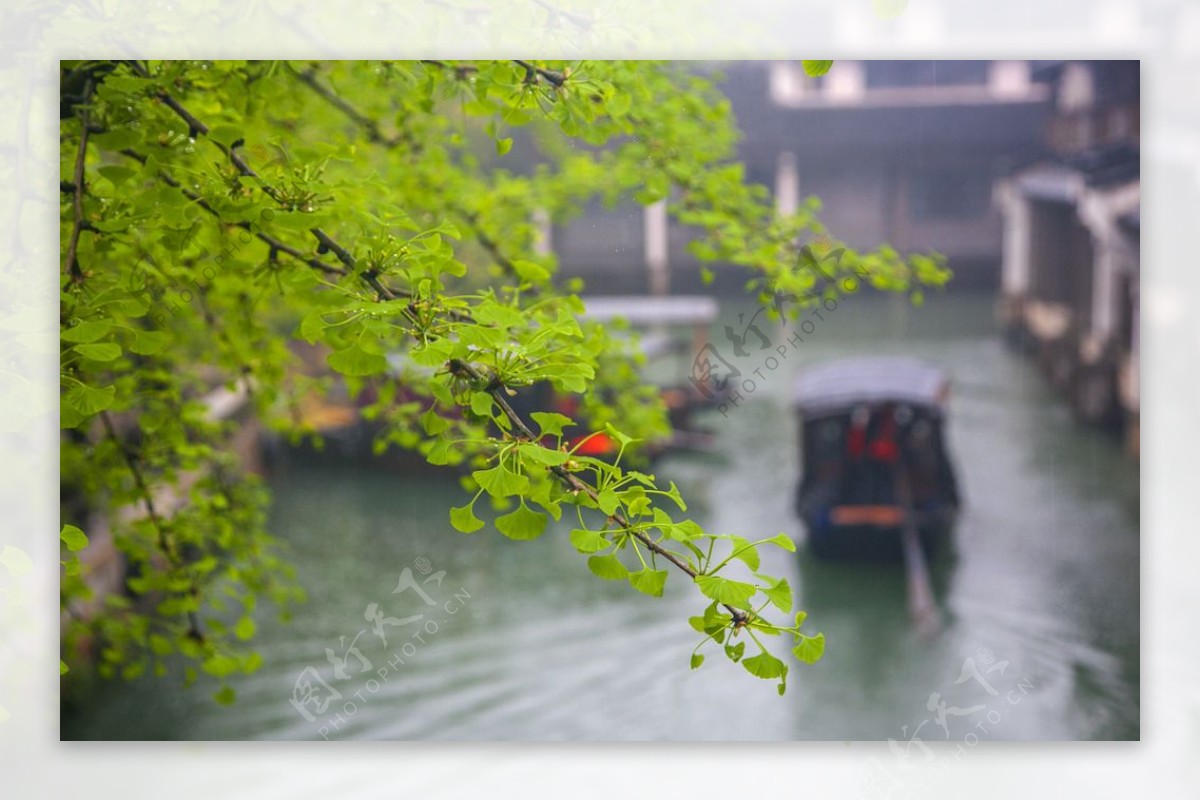 河流风景