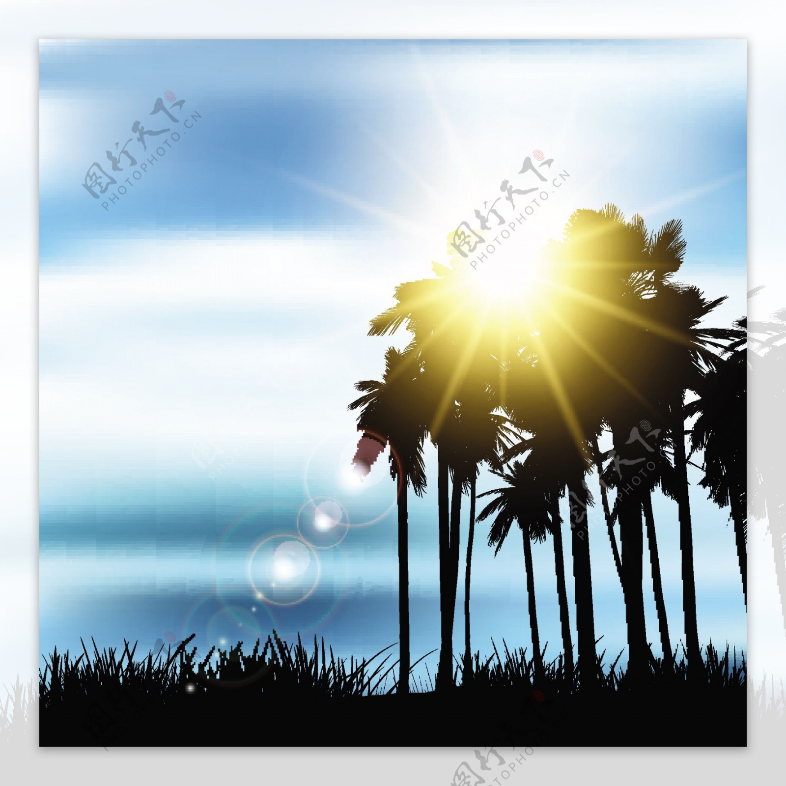 棕榈树风景剪影