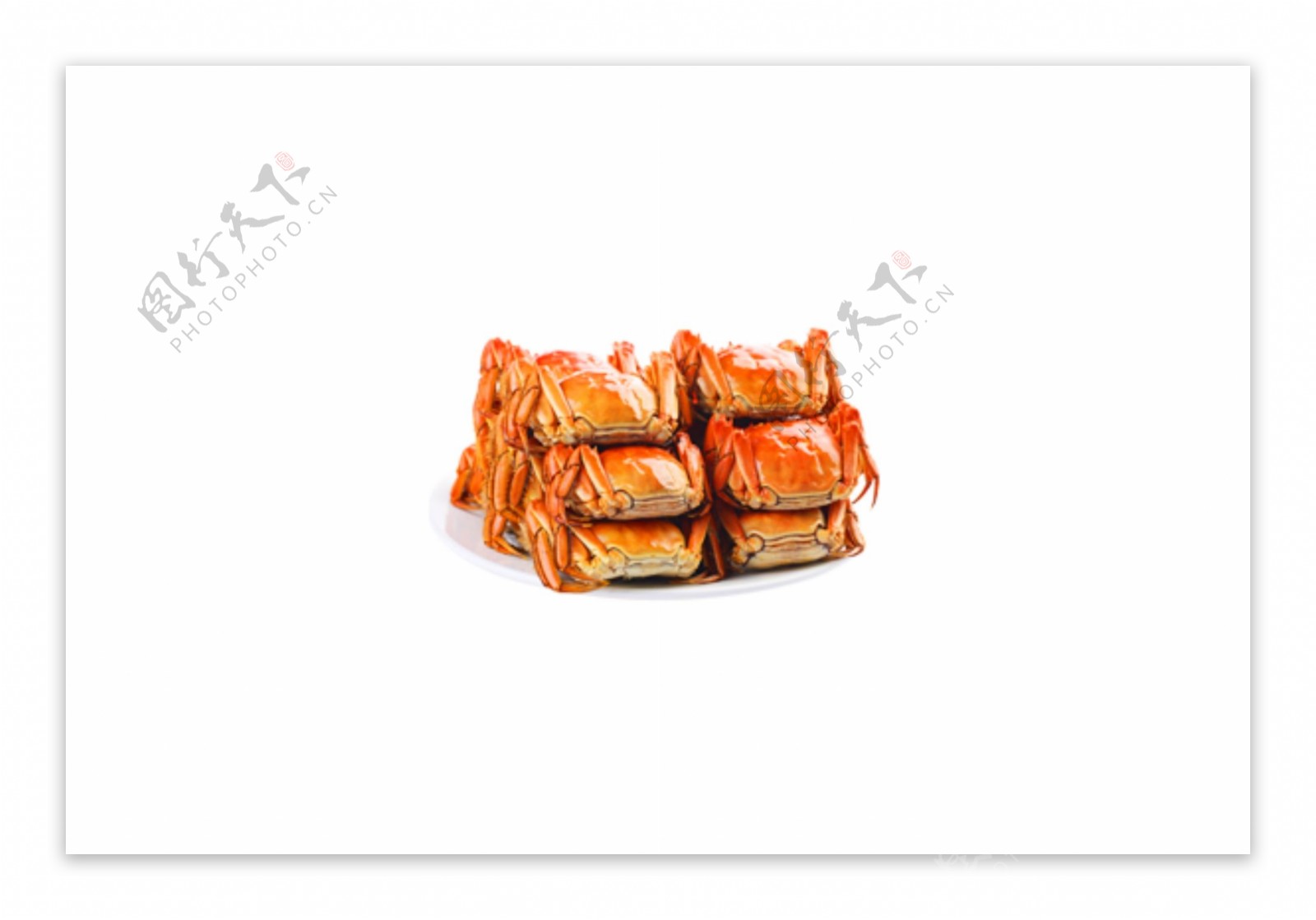 秋蟹河蟹螃蟹动物美味食物素材餐饮蟹黄