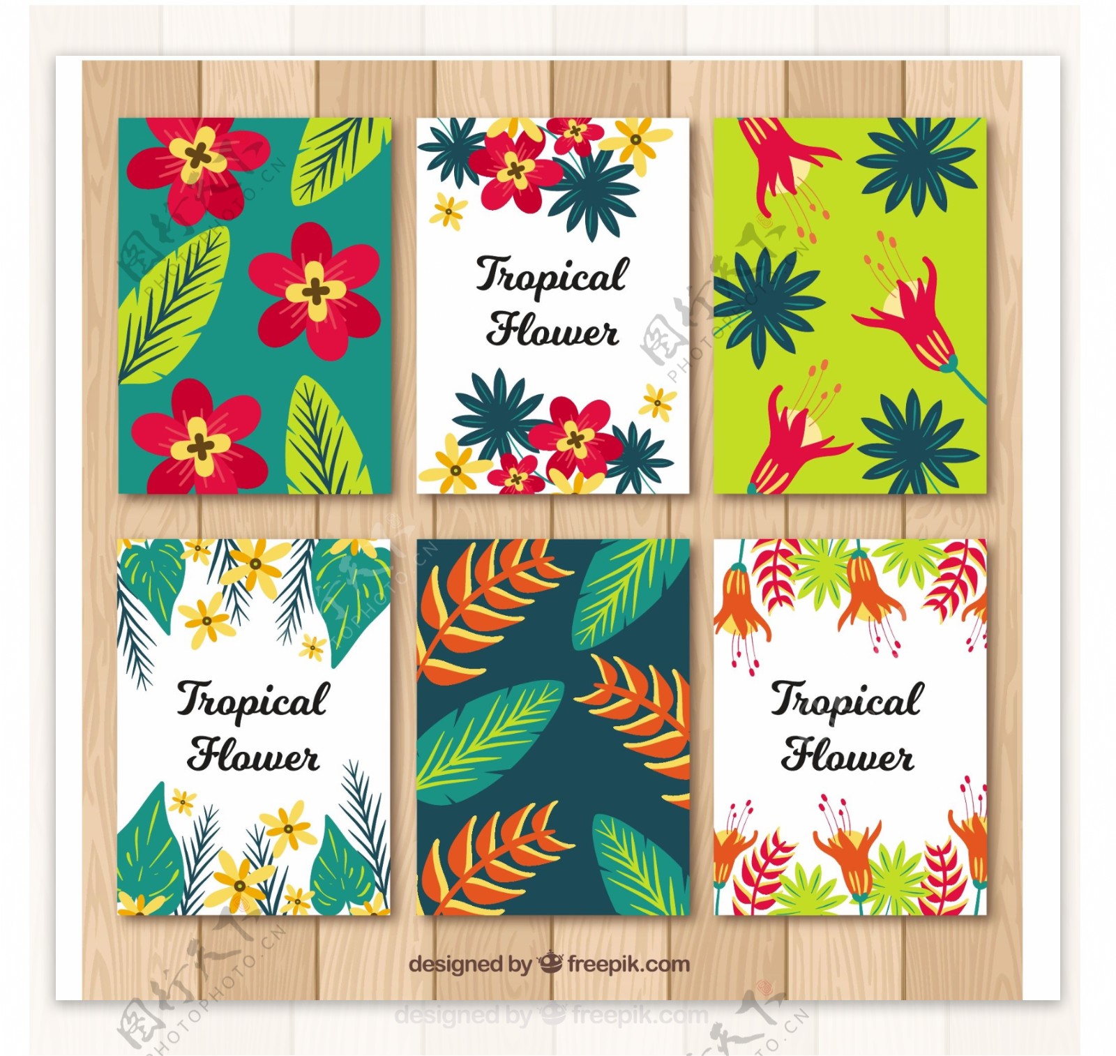 热带夏季卡片收集平面设计