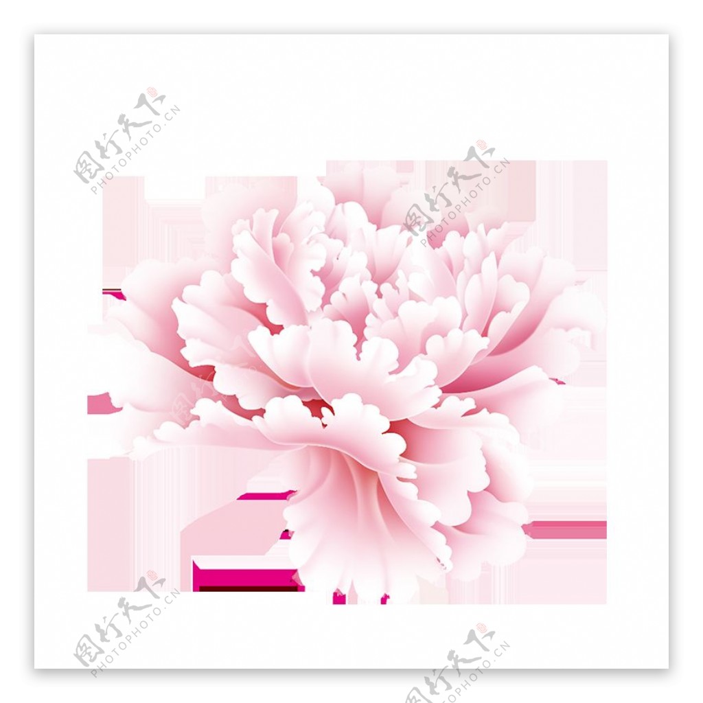 粉色牡丹花图案素材