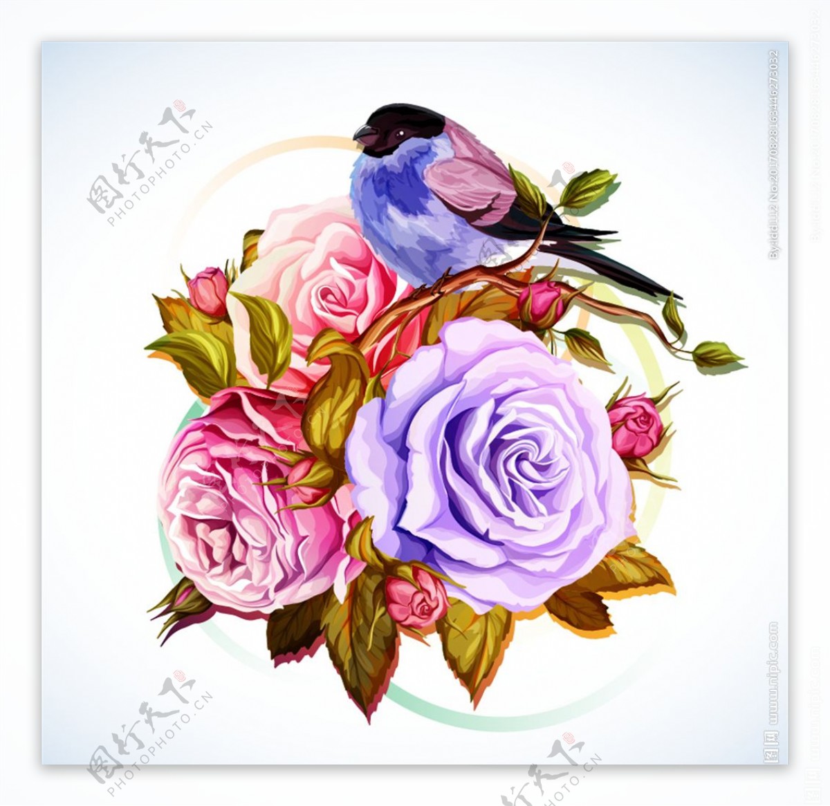盛开的彩色玫瑰水彩手绘矢量素材