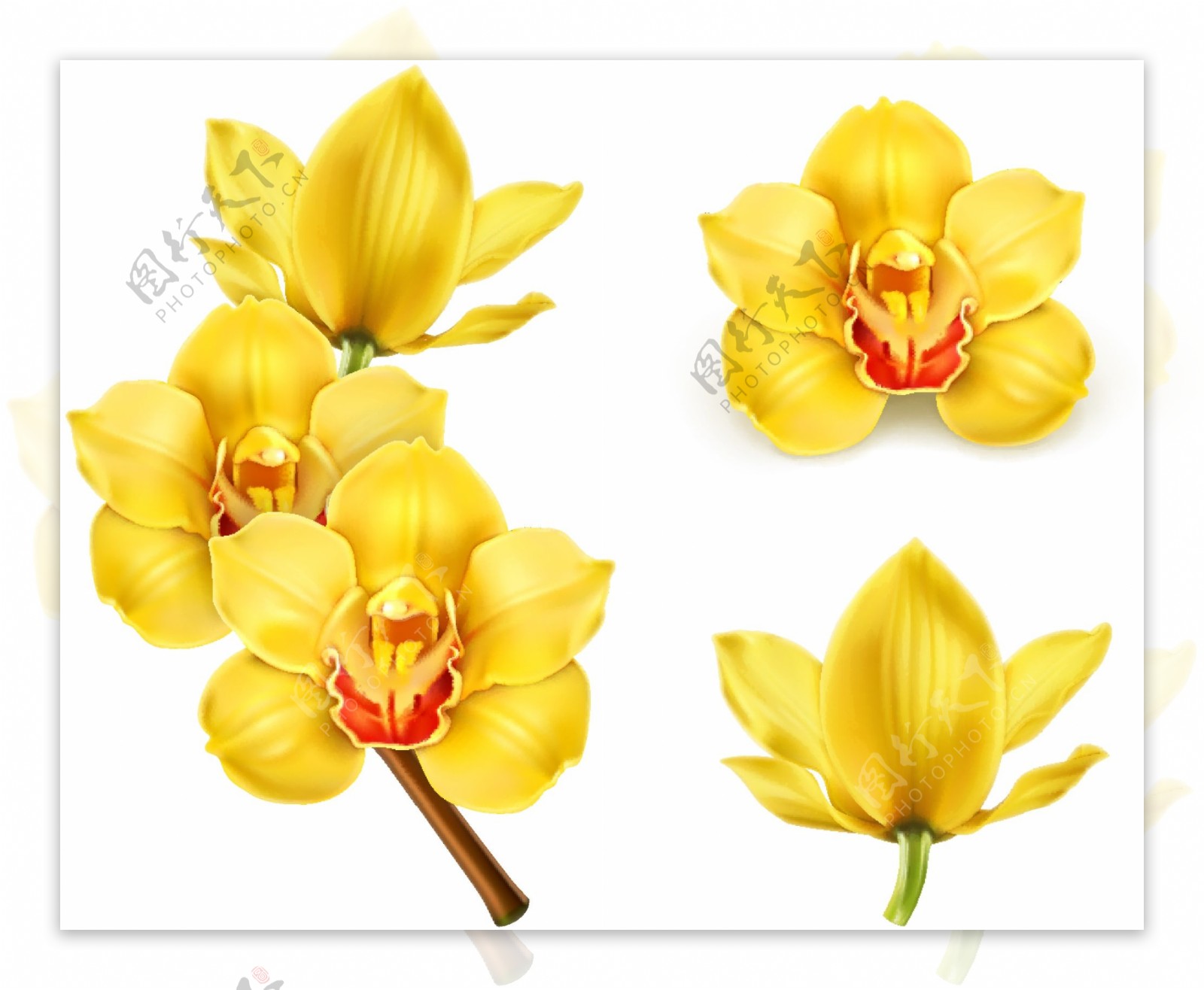手绘黄色花朵卡通矢量素材