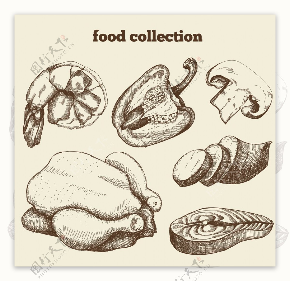 手绘餐厅食品插图