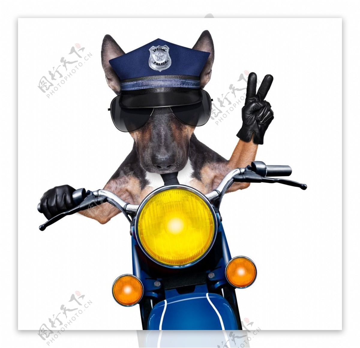 狗警察
