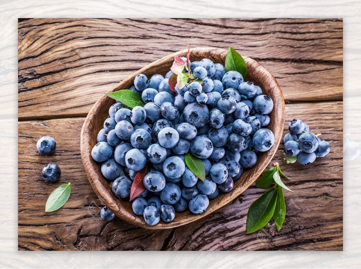浆果蓝莓
