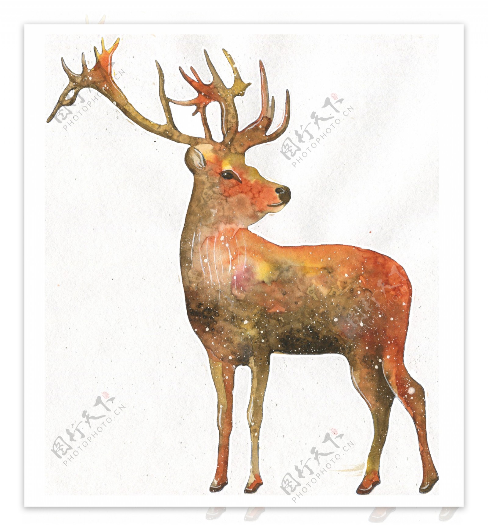 棕色手绘透明水彩动物装饰素材