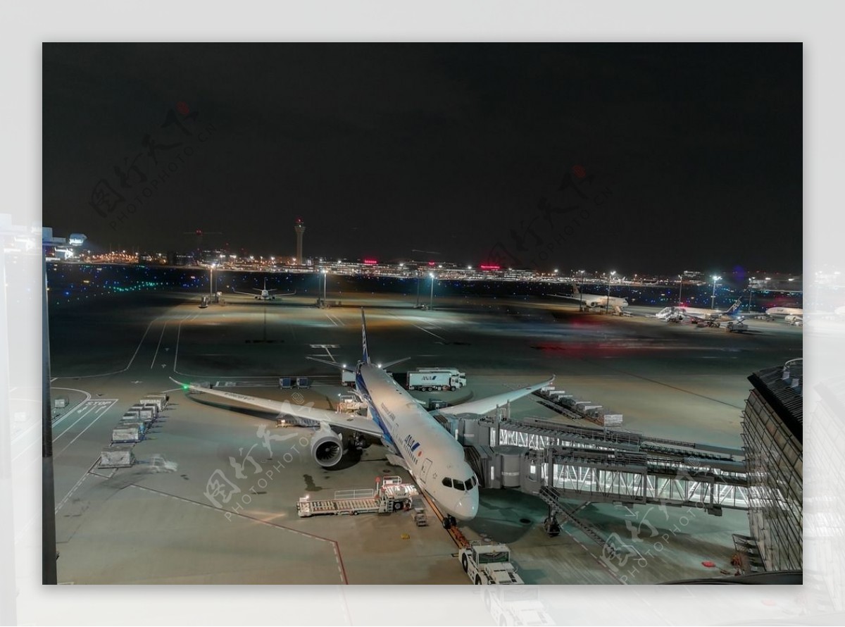 羽田机场全日空787客机夜景