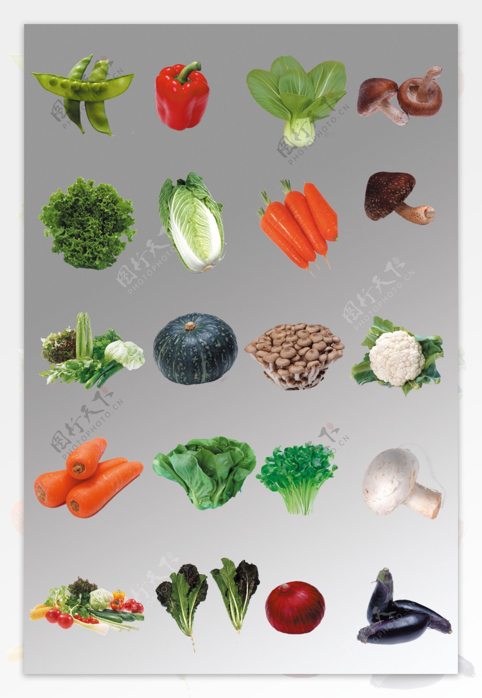 一组写实水果蔬菜源文件