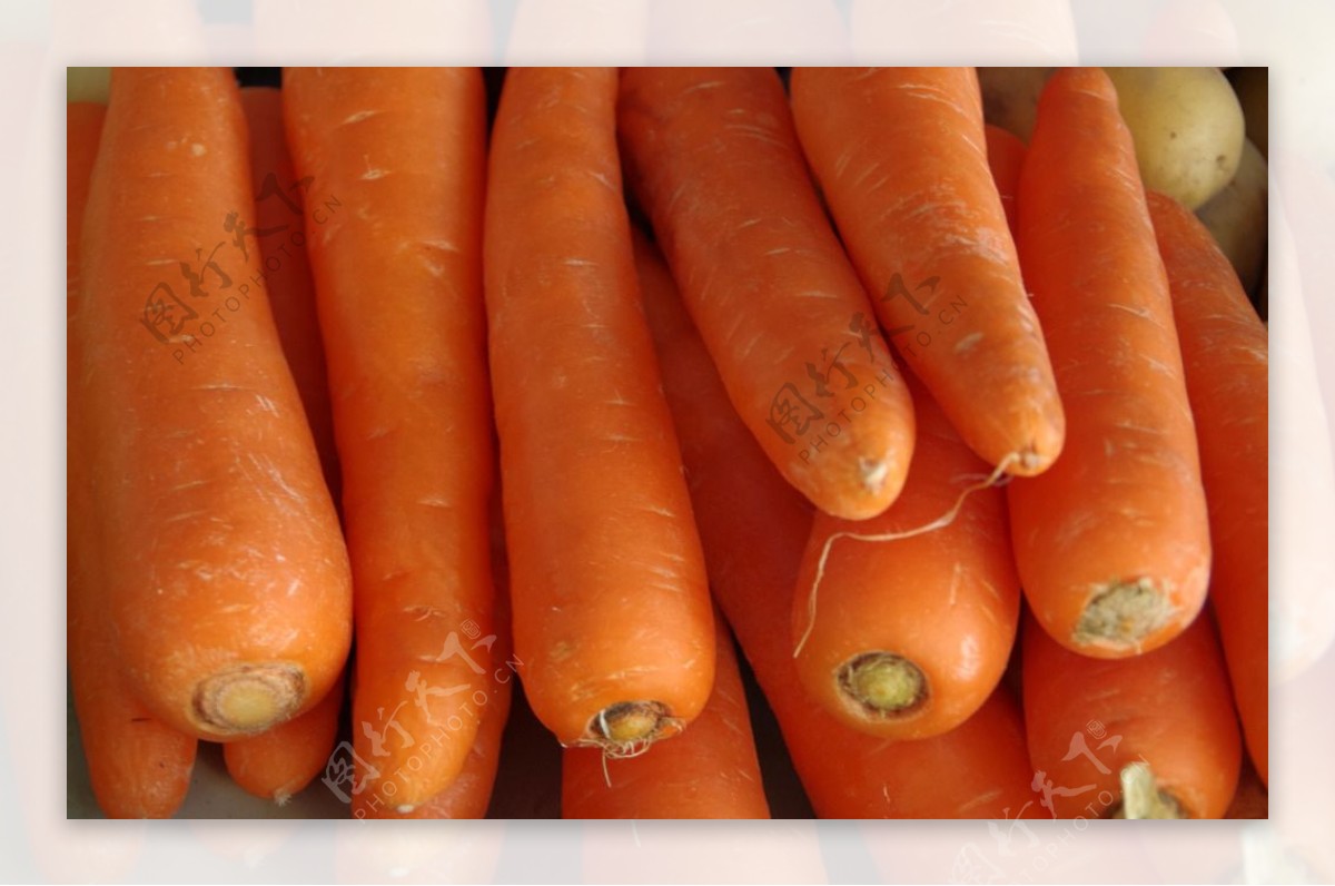 黄萝卜蔬菜桌面图