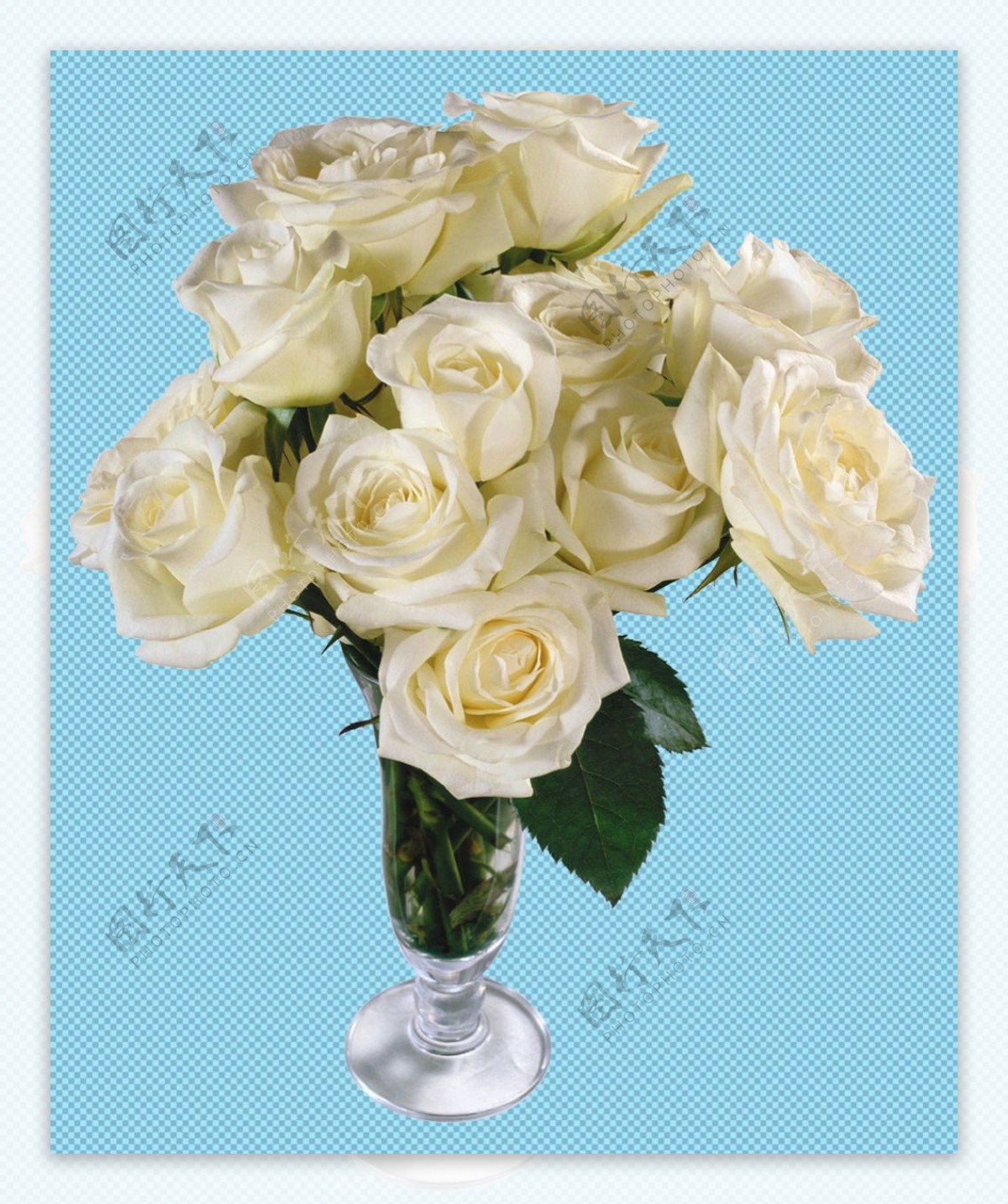 白玫瑰插花免抠png透明图层素材