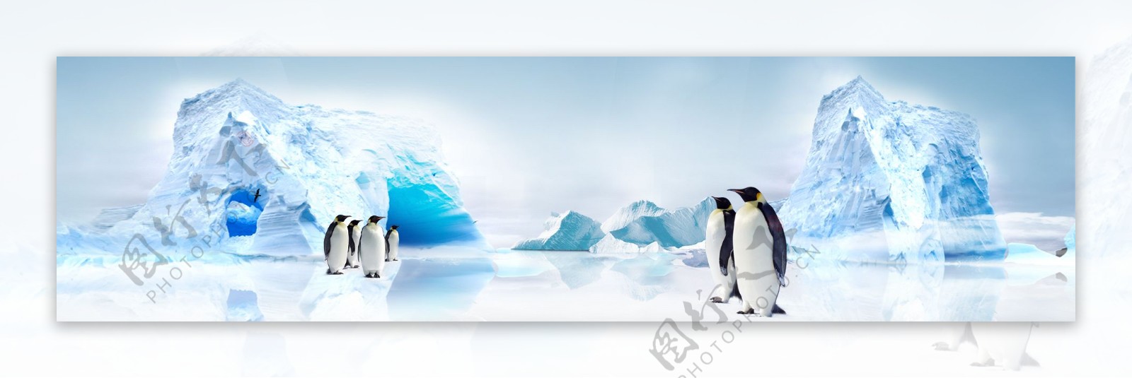 冬季蓝色冰山企鹅淘宝全屏banner背景