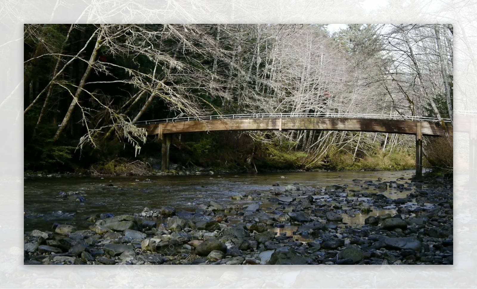 桥和Creek