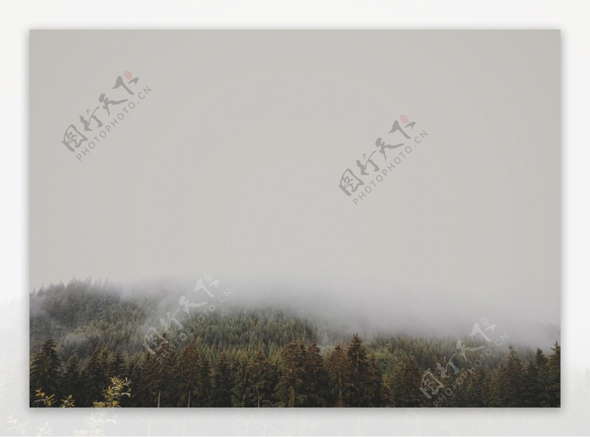 云雾下的高山美景