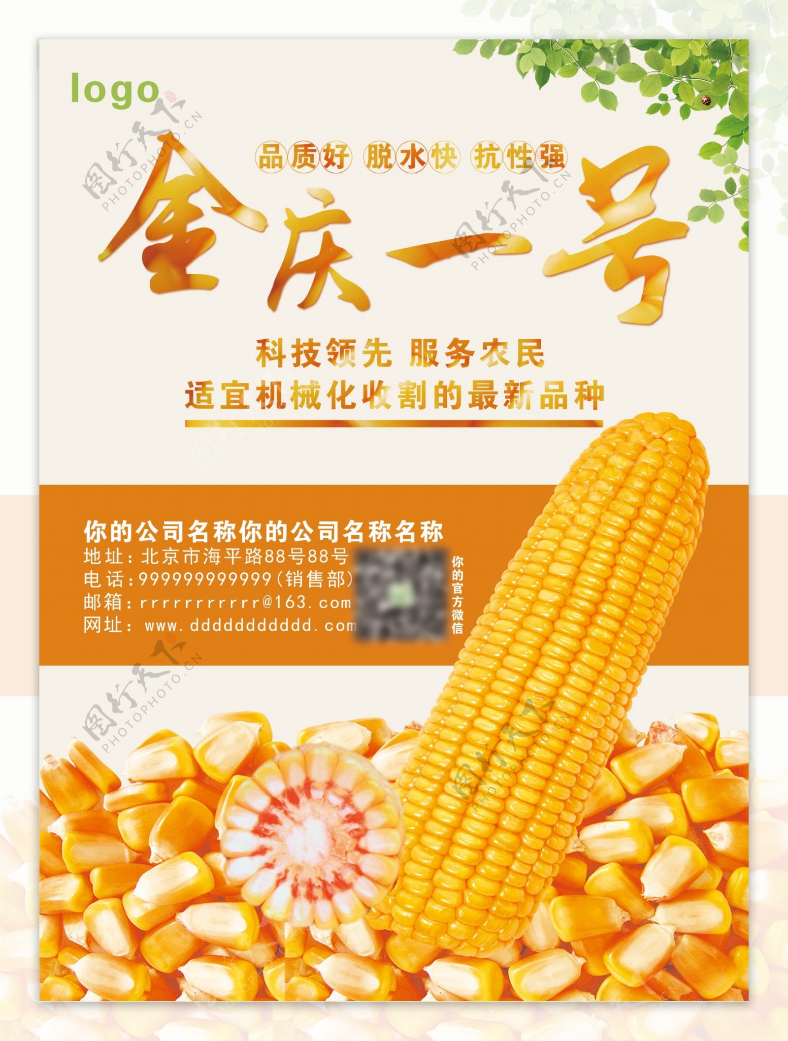 玉米种子创意宣传单页