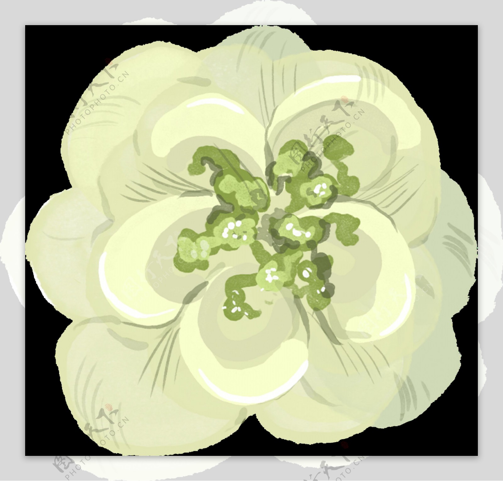 手绘简单白色花朵png透明素材