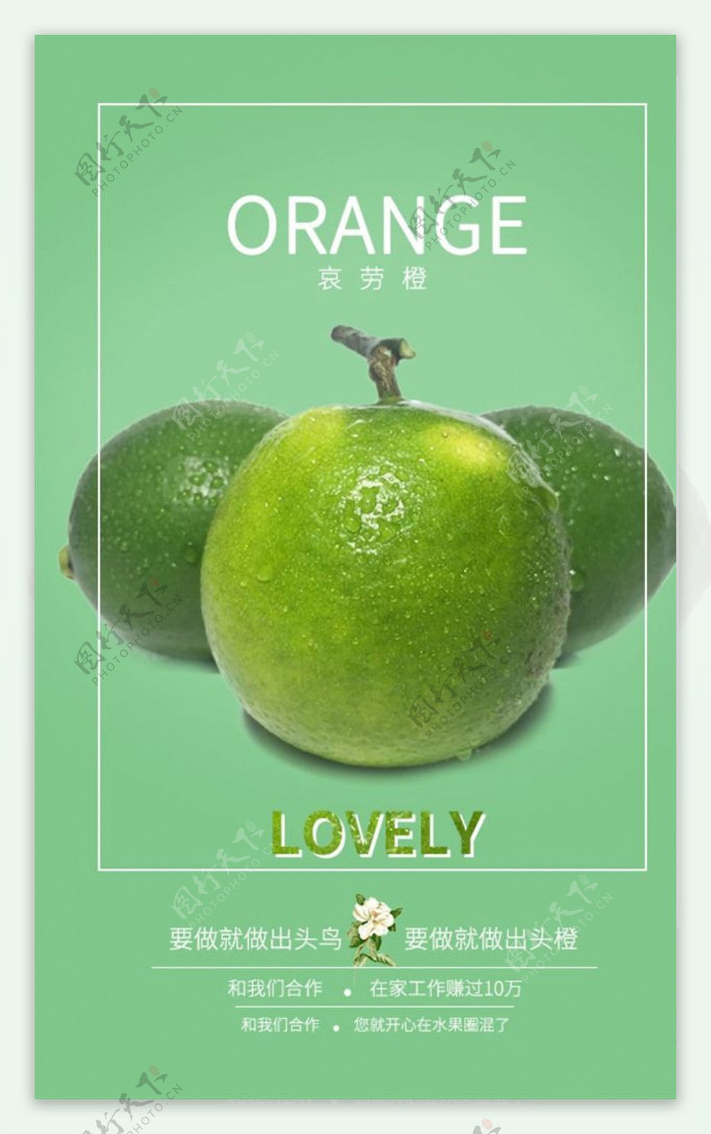 哀牢橙水果小清新海报