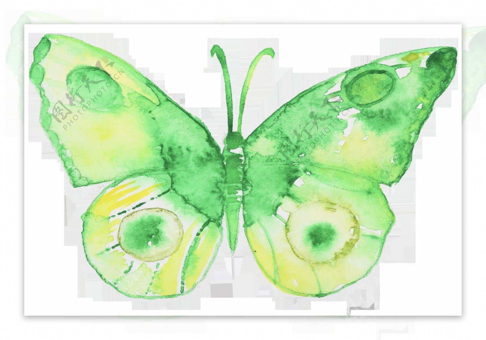 绿斑蝴蝶卡通透明装饰素材