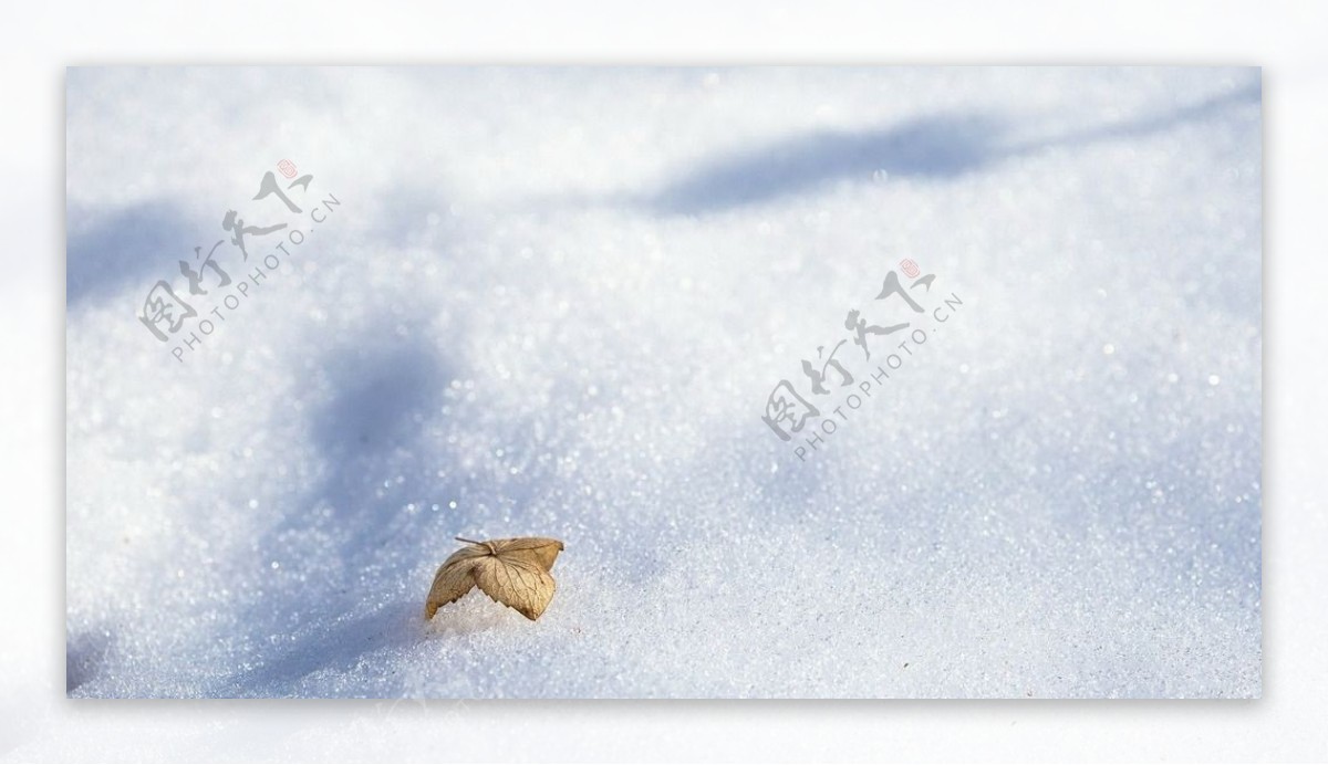 冰天雪地冬天雪景