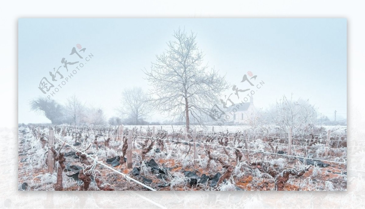 冰天雪地冬天雪景