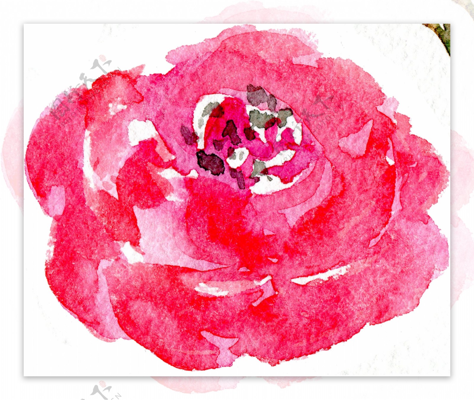 粉色水彩花卉卡通透明素材