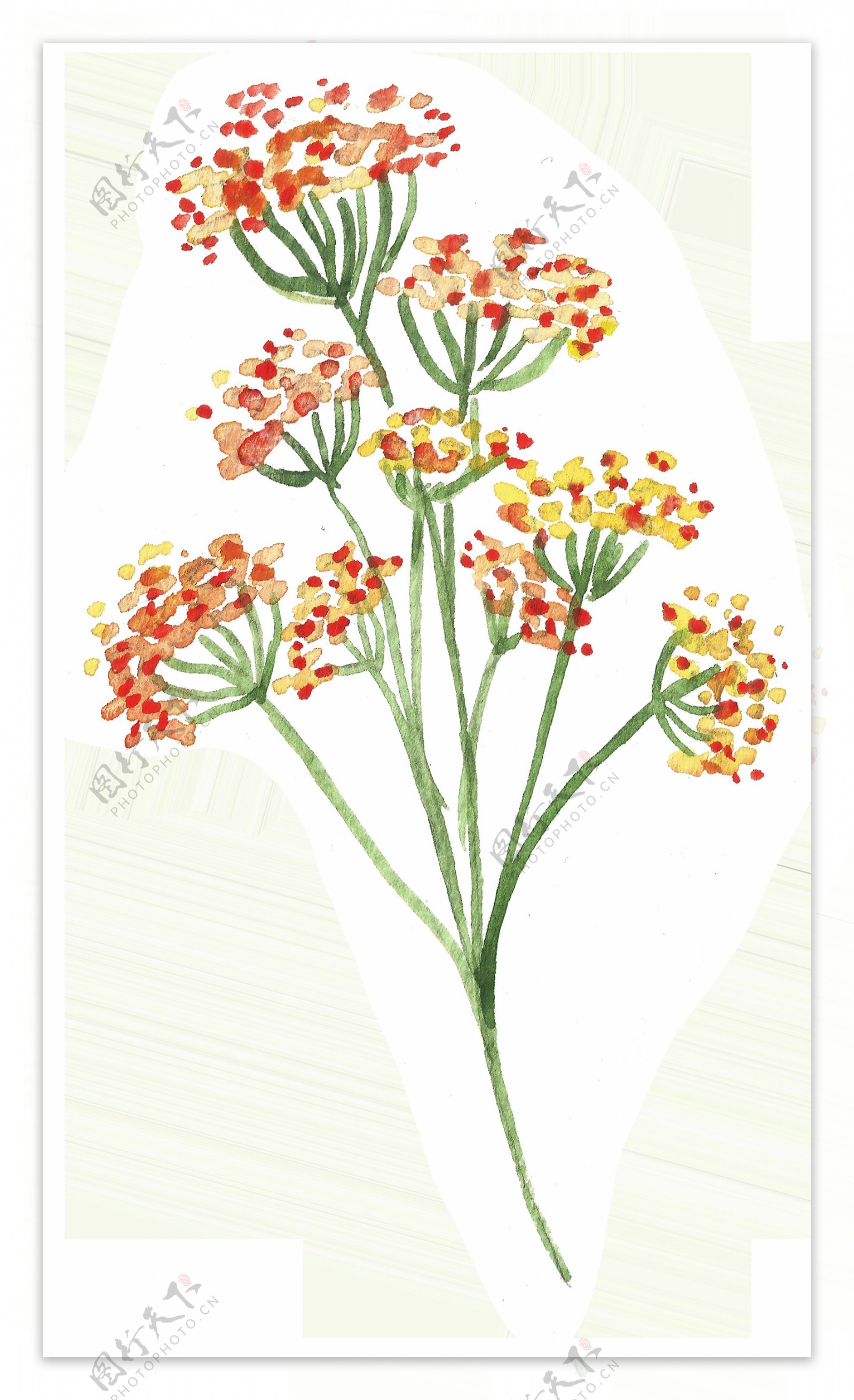 红黄花束卡通水彩透明素材