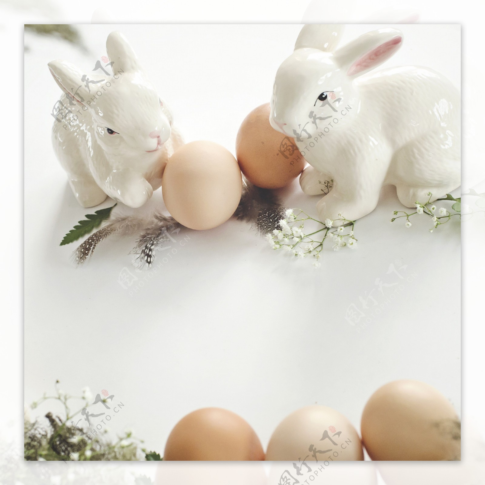小兔子围绕鸡蛋jpg背景素材