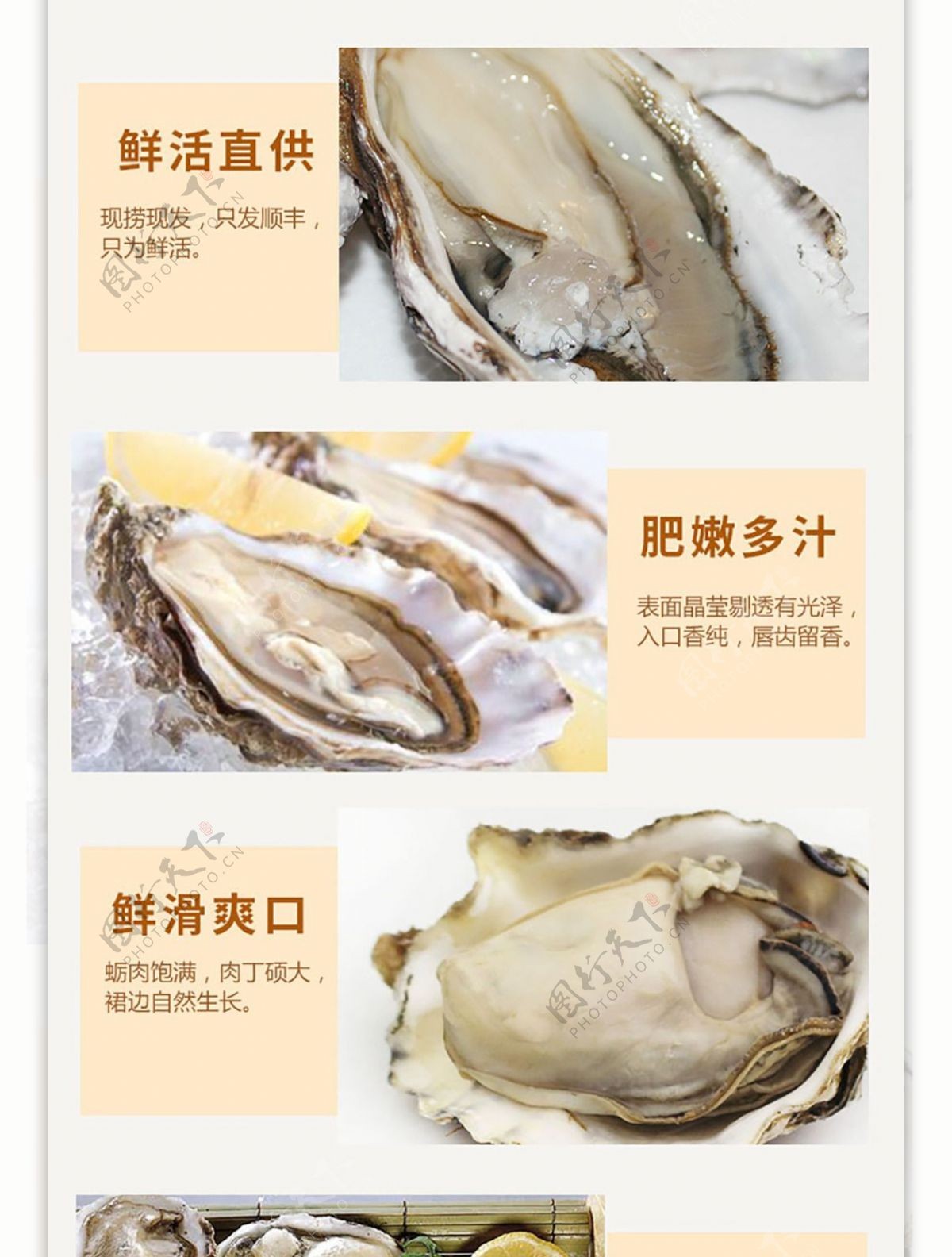 美食海鲜牡蛎详情页
