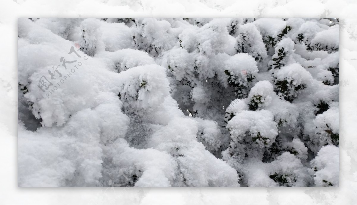 西岭雪山