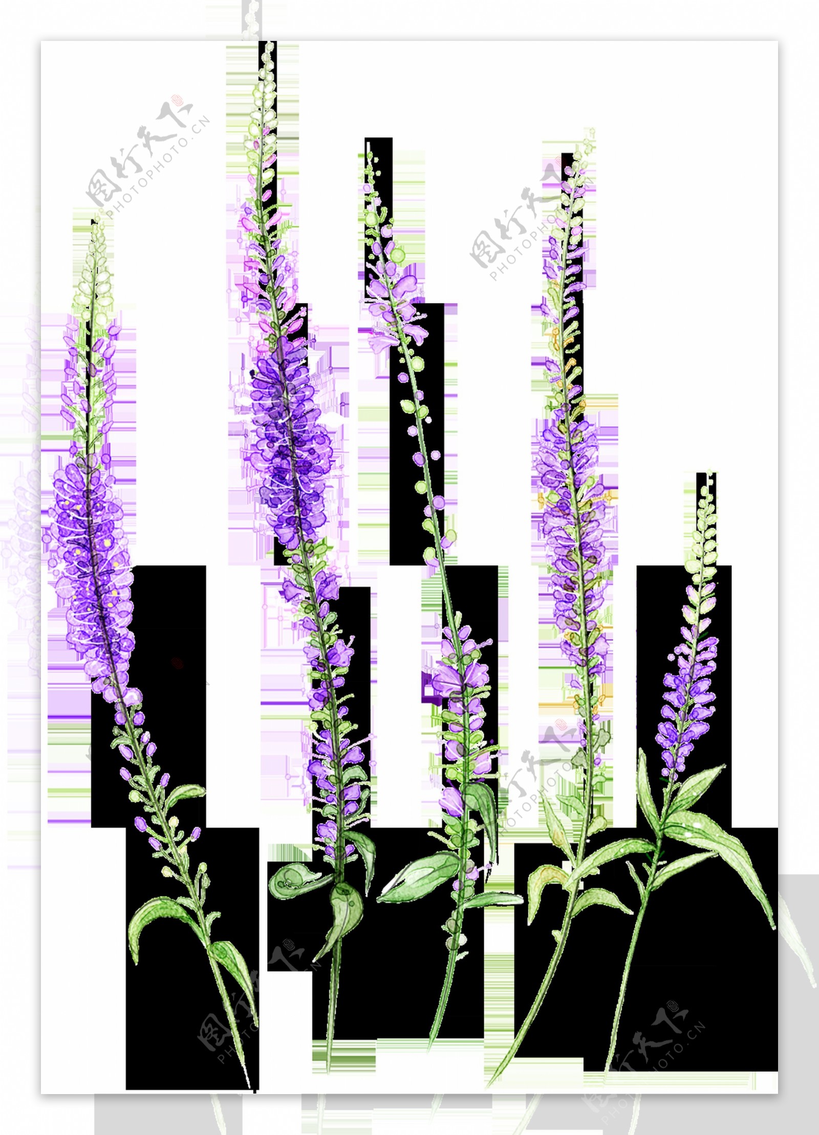 紫粉花束卡通透明素材