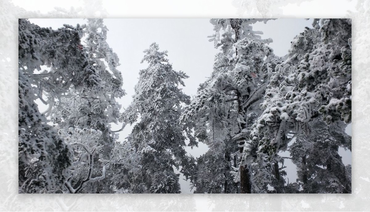 西岭雪山