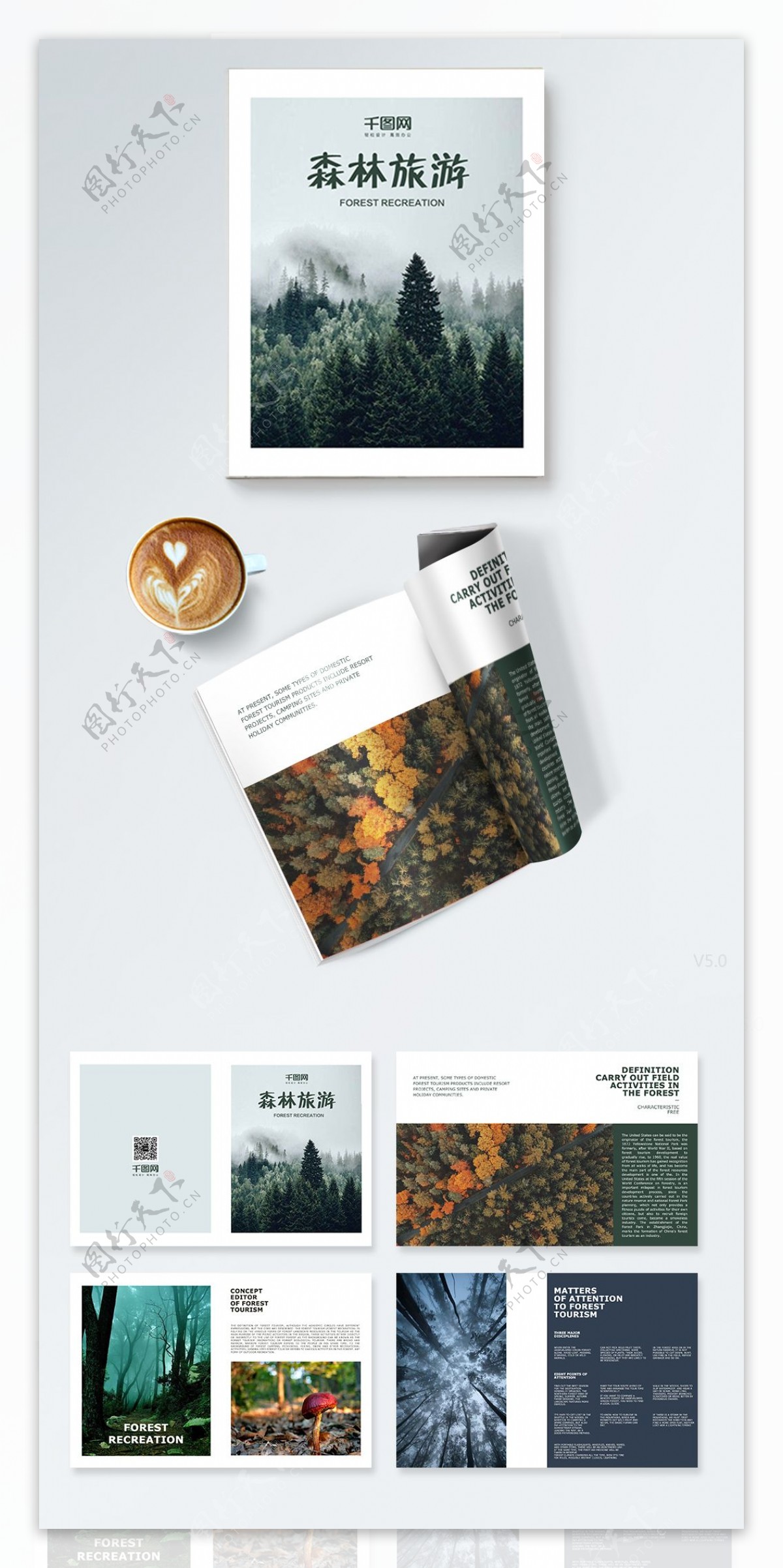森林旅游宣传册折页画册