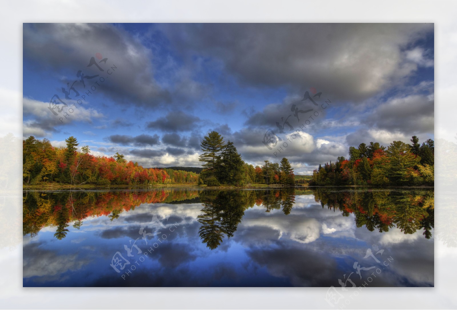 加拿大河流森林秋季天空