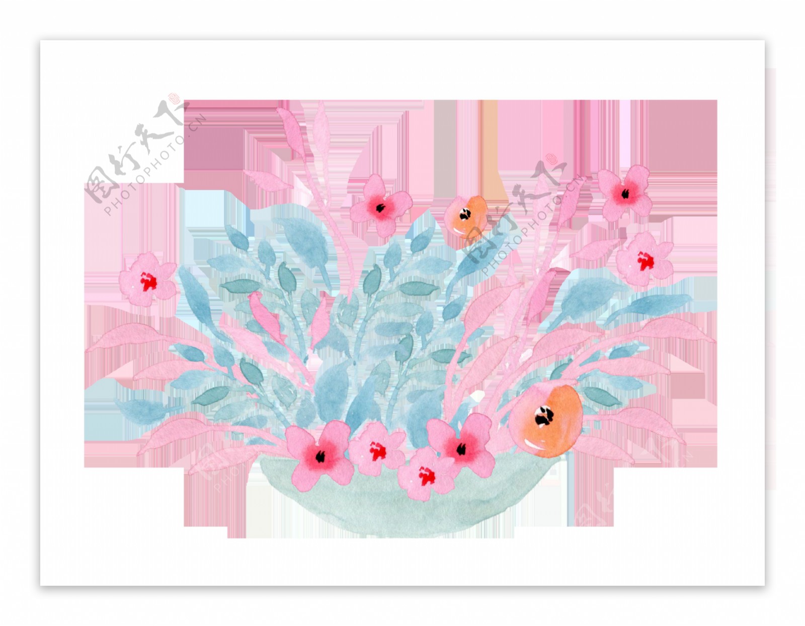 粉色茶花透明装饰素材