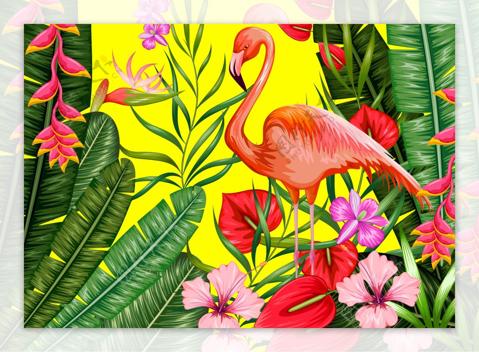 热带植物中美丽的仙鹤插画