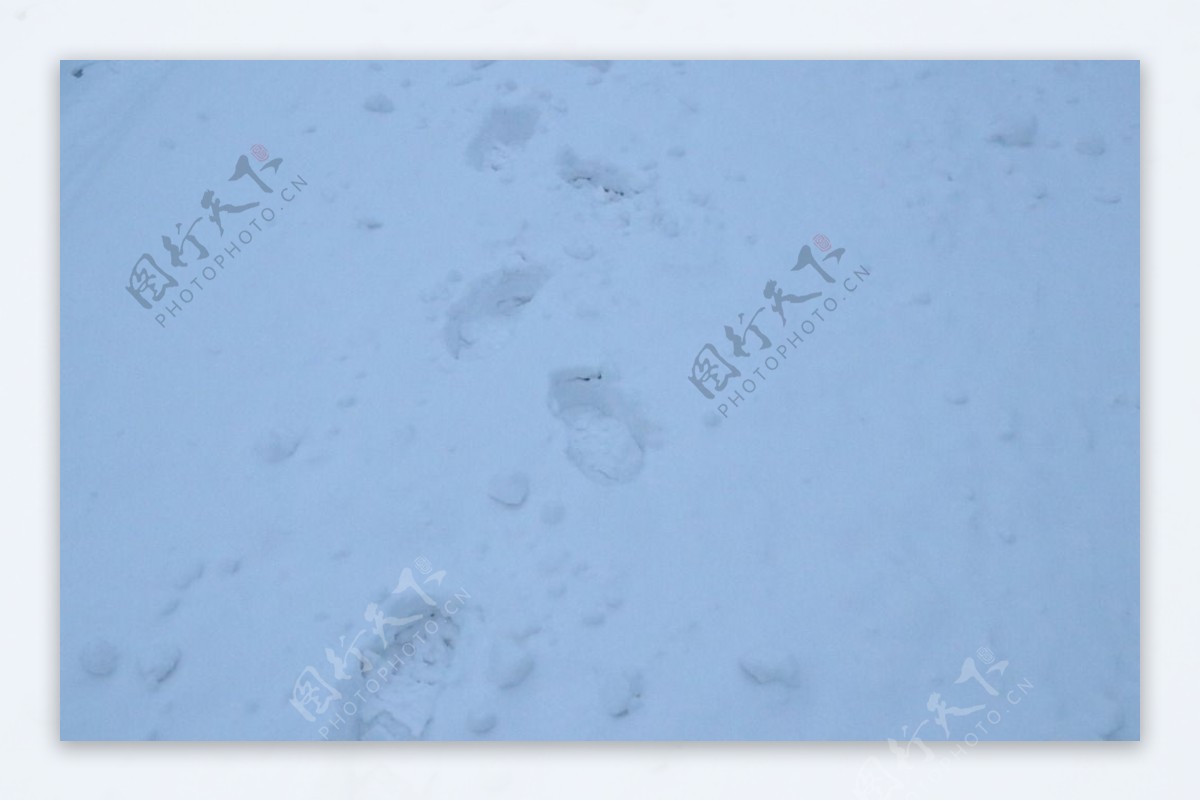 冬雪图片素材-编号11310457-图行天下