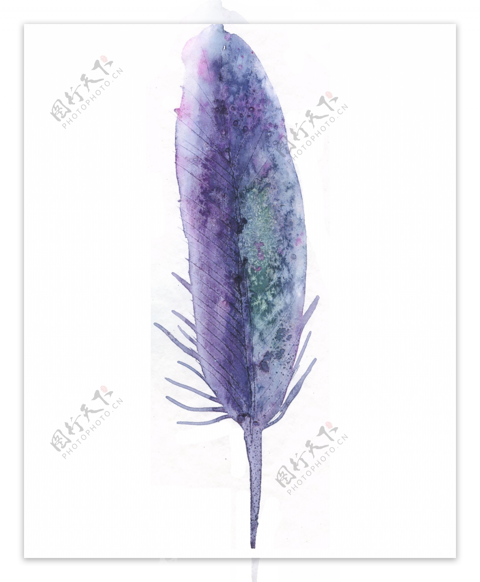 秘紫羽毛透明装饰素材