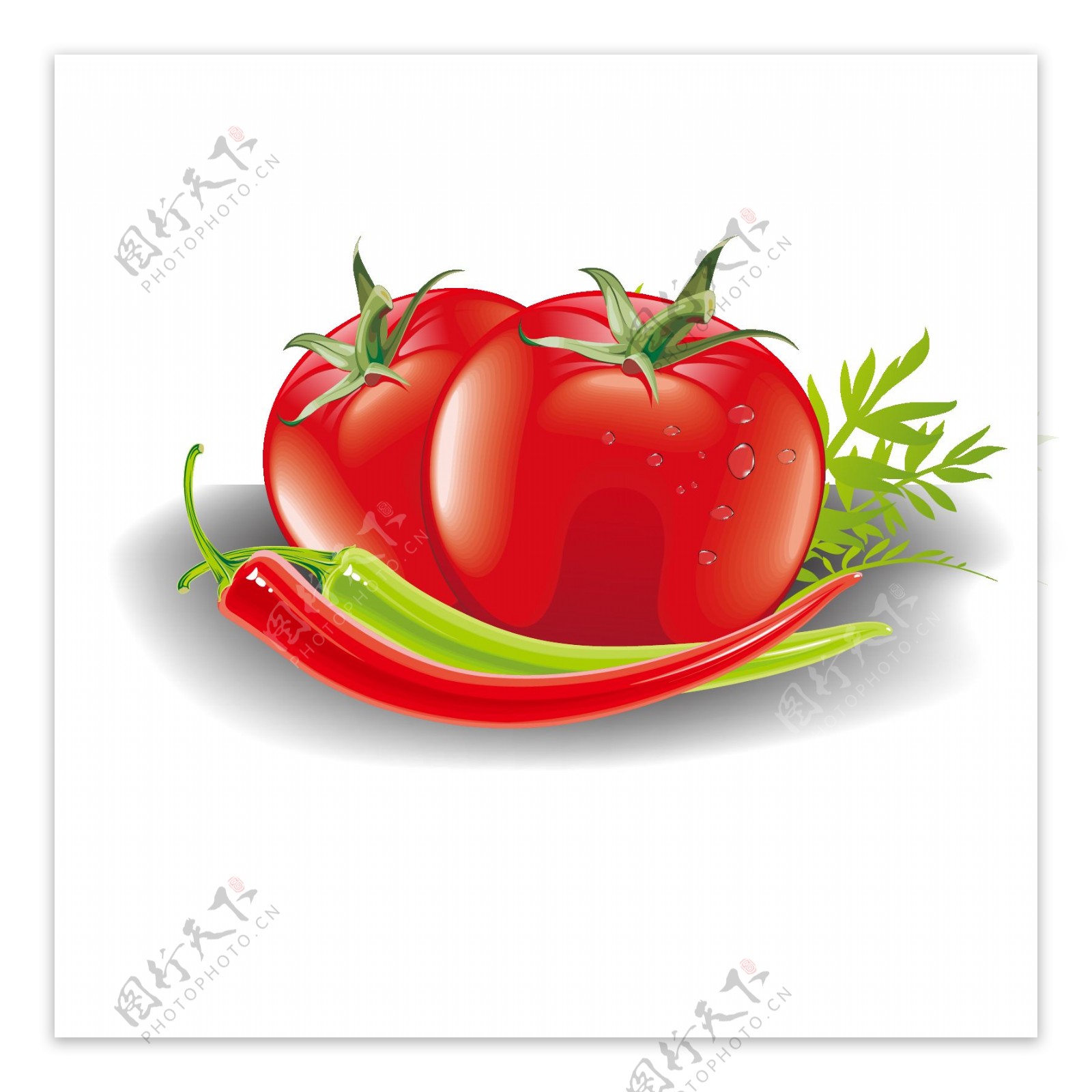 手绘蔬菜西红柿元素
