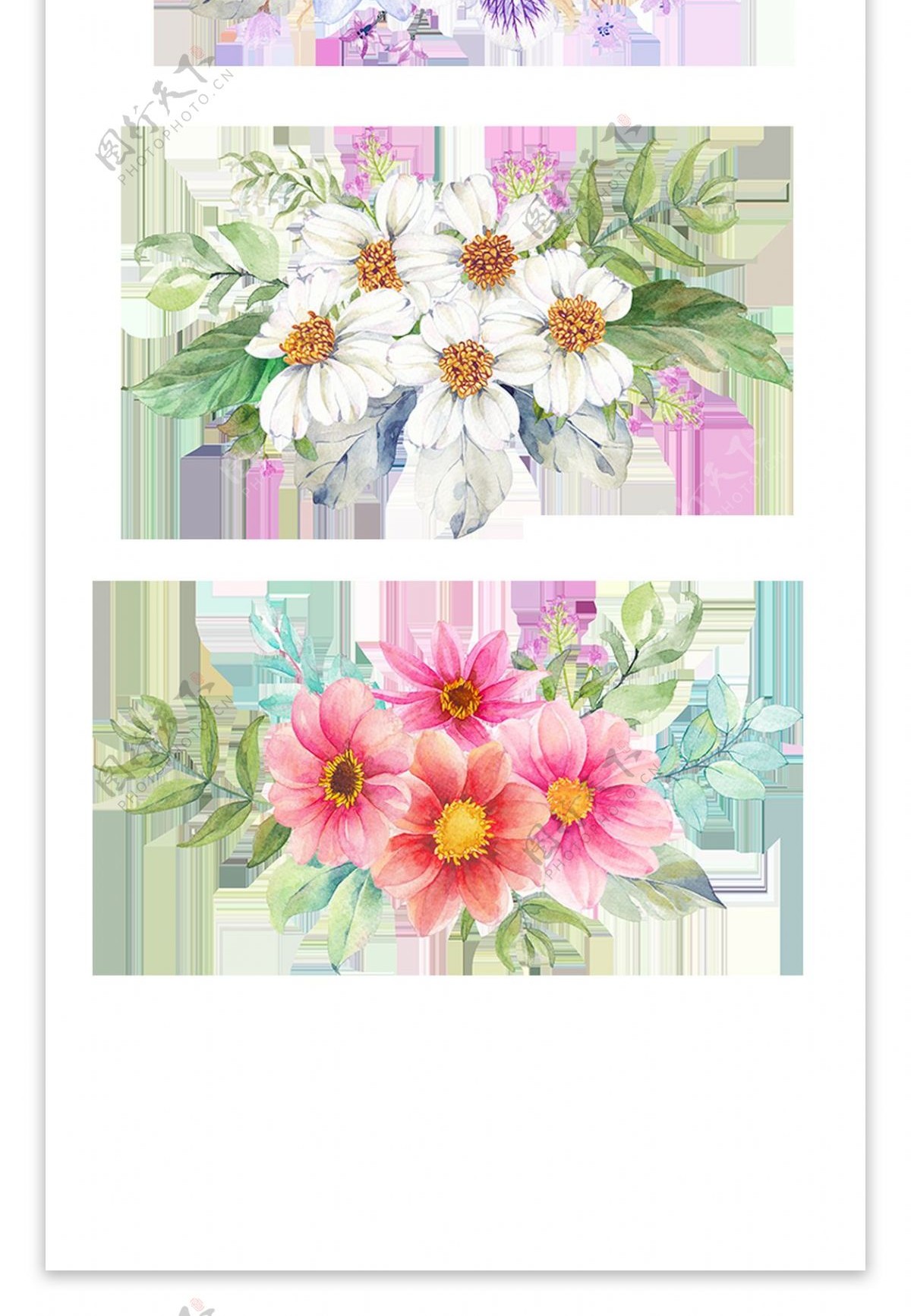 手绘彩色花卉透明装饰素材